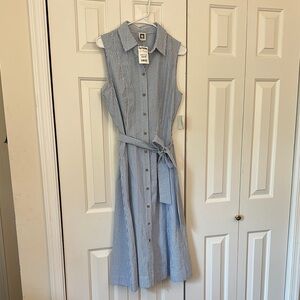 Sleeveless Blue Striped Dress